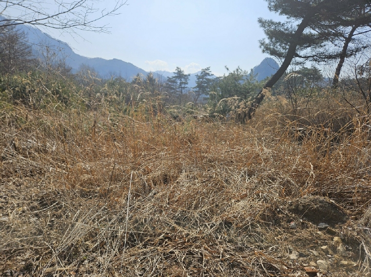 경기도 포천시 영북면 산정리 291-2 외 1필지 답 경매 사진 4