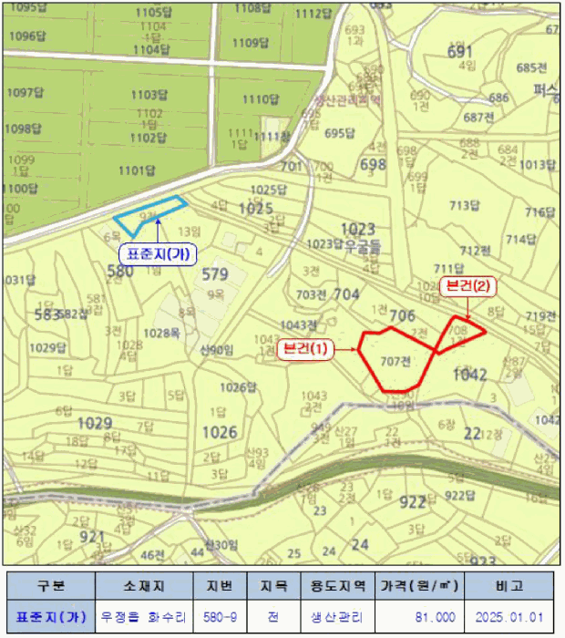 경기도 화성시 우정읍 화수리 707 외 1필지 전 경매 사진 13