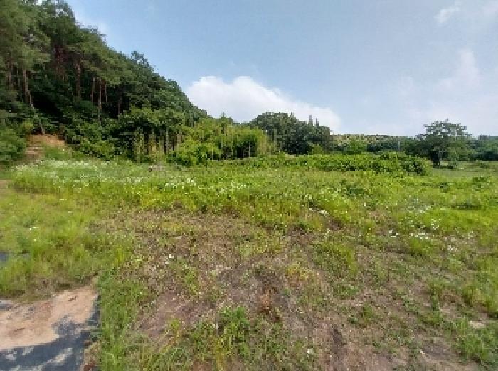 충청남도 청양군 비봉면 양사리 119-2 외 4필지 전 경매 사진 1