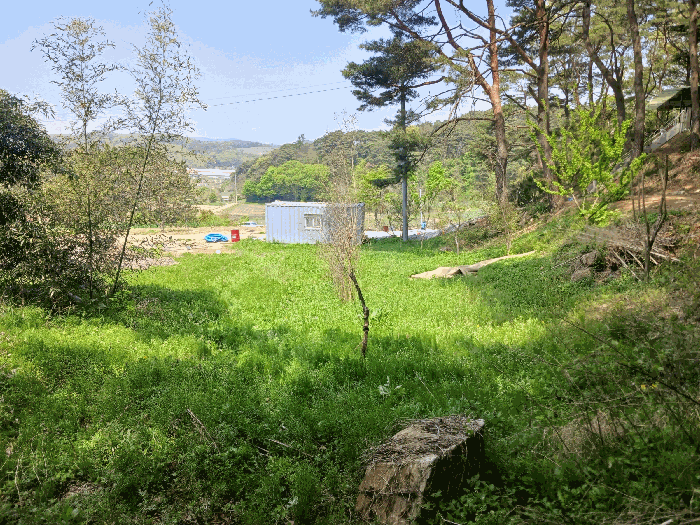 충청남도 청양군 비봉면 양사리 119-2 외 4필지 전 경매 사진 11