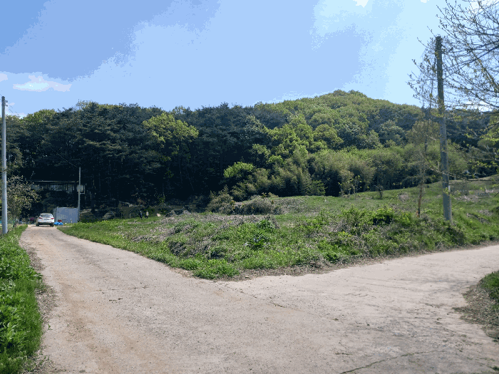 충청남도 청양군 비봉면 양사리 119-2 외 4필지 전 경매 사진 13