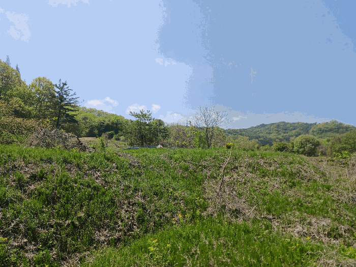 충청남도 청양군 비봉면 양사리 119-2 외 4필지 전 경매 사진 14