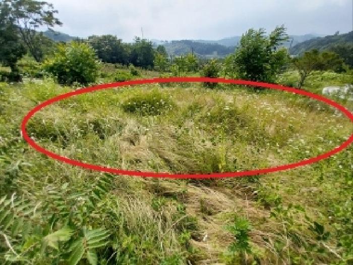 충청남도 청양군 비봉면 양사리 119-2 외 4필지 전 경매 사진 8