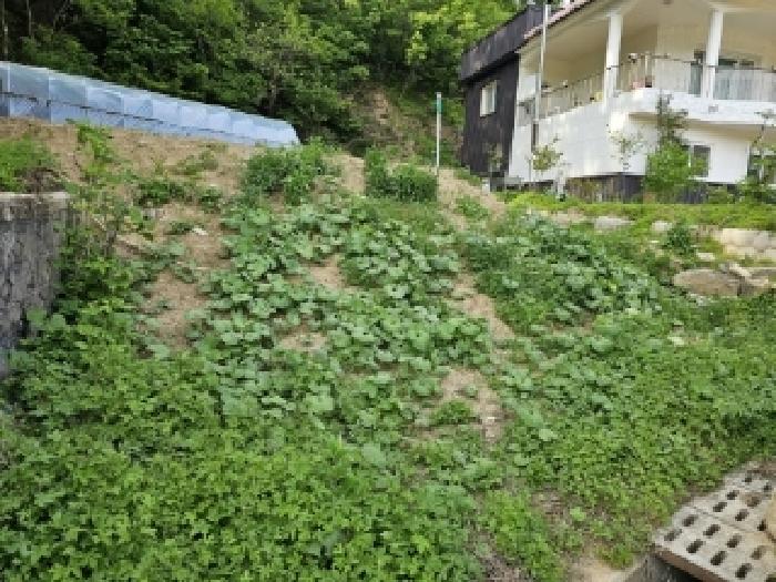 경상북도 봉화군 봉화읍 거촌리 530 외 2필지 대지 경매 사진 2
