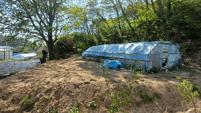 경상북도 봉화군 봉화읍 거촌리 530 외 2필지 대지 경매 사진 12