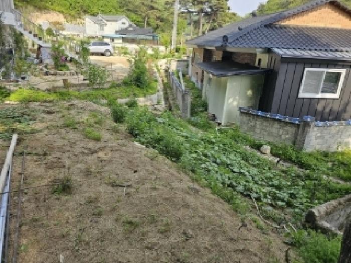 경상북도 봉화군 봉화읍 거촌리 530 외 2필지 대지 경매 사진 3