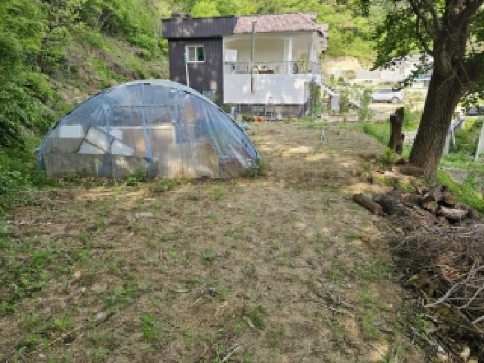 경상북도 봉화군 봉화읍 거촌리 530 외 2필지 대지 경매 사진 4