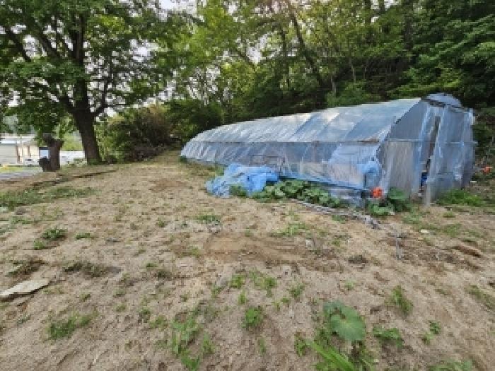 경상북도 봉화군 봉화읍 거촌리 530 외 2필지 대지 경매 사진 5