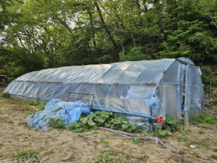 경상북도 봉화군 봉화읍 거촌리 530 외 2필지 대지 경매 사진 6