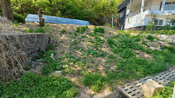 경상북도 봉화군 봉화읍 거촌리 530 외 2필지 대지 경매 사진 9