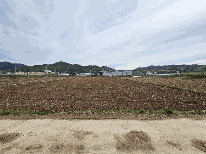 경상북도 안동시 길안면 천지리 293 답 경매 사진 2