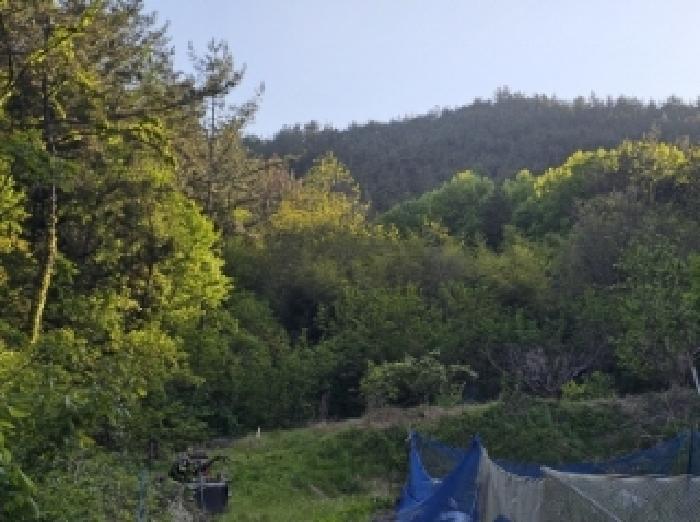 전라남도 순천시 해룡면 상내리 109 전 경매 사진 2