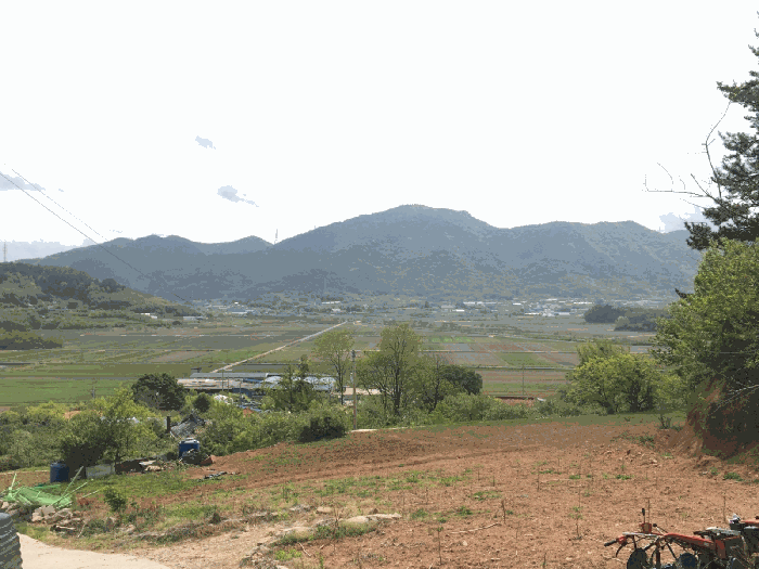 전라남도 순천시 해룡면 상내리 109 전 경매 사진 8
