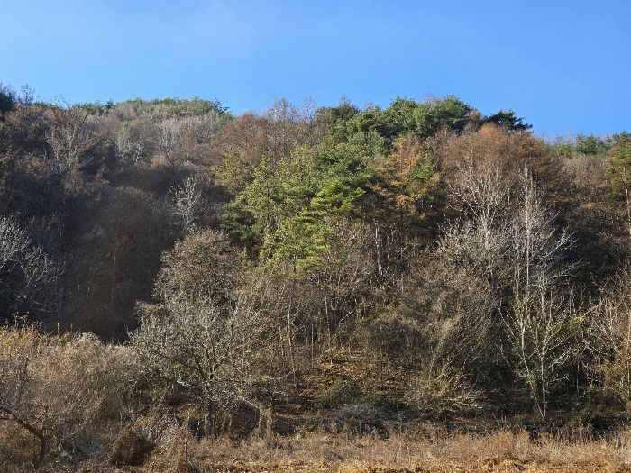 전북특별자치도 무주군 적상면 북창리 404 전 경매 사진 8