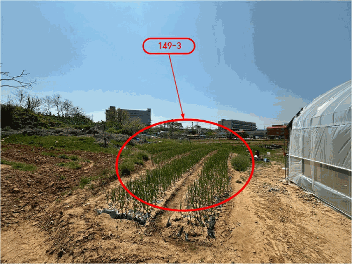 경기도 평택시 포승읍 도곡리 149-3 대지 경매 사진 21