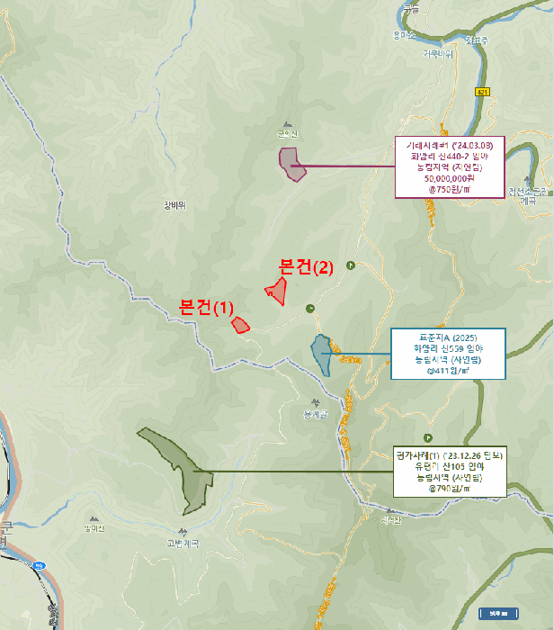 강원특별자치도 정선군 화암면 화암리 산461 임야 경매 사진 3