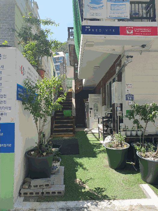 부산광역시 동래구 명장동 523-5 주택 경매 사진 22