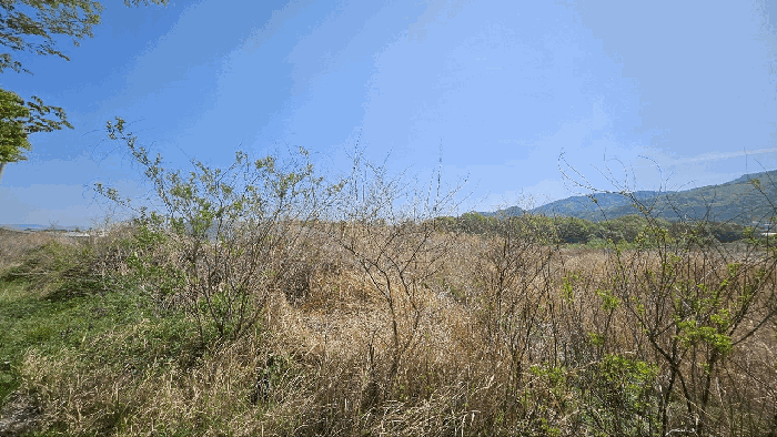 전라남도 강진군 성전면 명산리 1490-10 공장용지 경매 사진 10