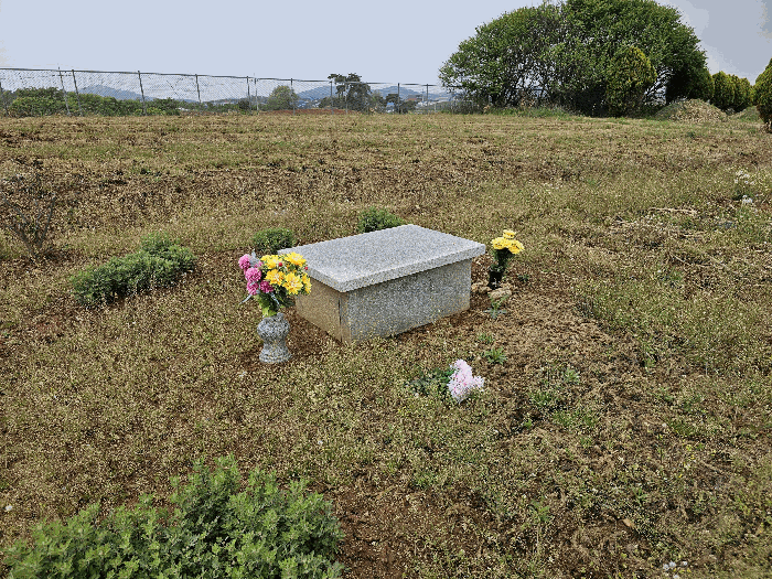 전북특별자치도 부안군 부안읍 내요리 356-12 전 경매 사진 5