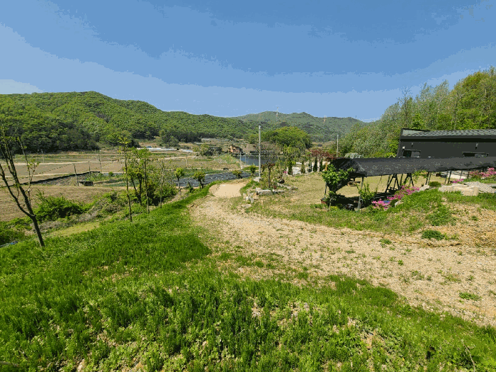 세종특별자치시 전동면 노장리 237 외 10필지 근린생활시설 경매 사진 45