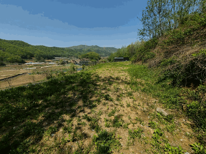 세종특별자치시 전동면 노장리 237 외 10필지 근린생활시설 경매 사진 47