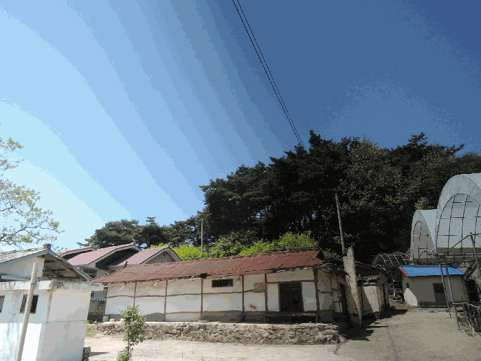 충청남도 홍성군 홍북읍 노은리 산5-1 외 1필지 임야 경매 사진 5