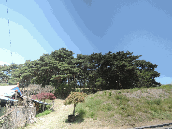 충청남도 홍성군 홍북읍 노은리 산5-1 외 1필지 임야 경매 사진 6