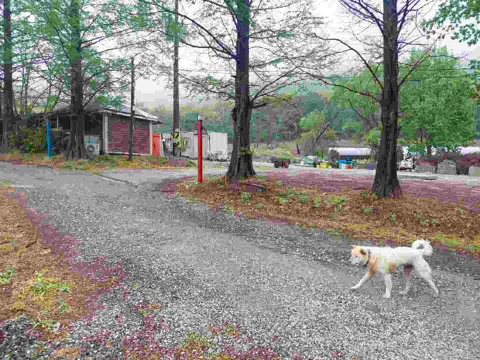 충청남도 아산시 음봉면 삼거리 254-2 외 8필지 근린생활시설 경매 사진 17