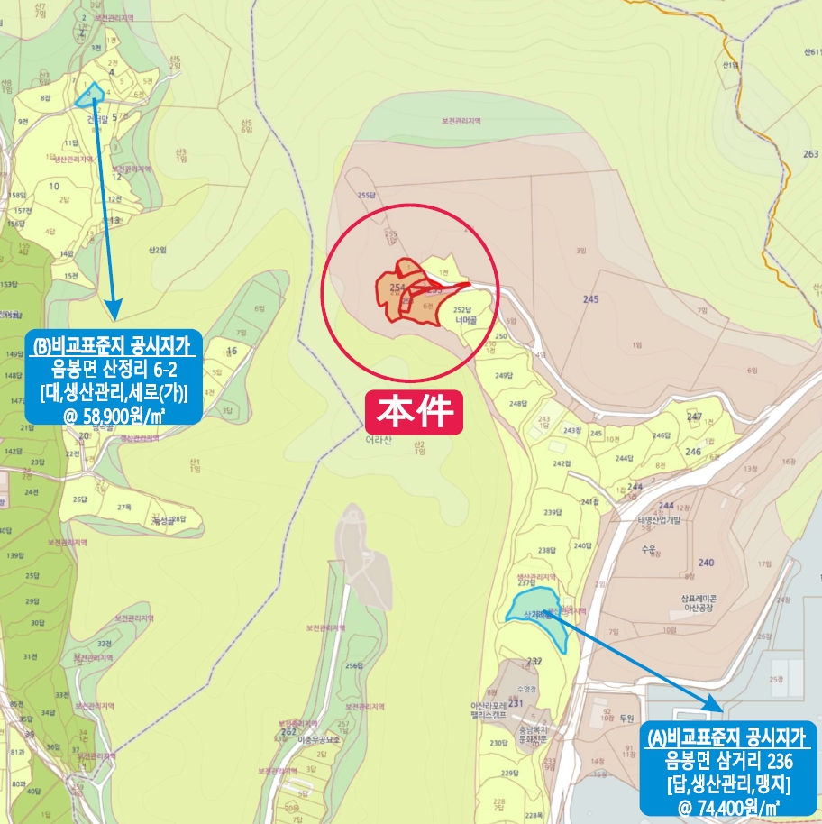 충청남도 아산시 음봉면 삼거리 254-2 외 8필지 근린생활시설 경매 사진 91