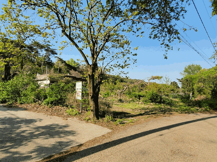 울산광역시 북구 신현동 885 외 1필지 단독주택 경매 사진 21