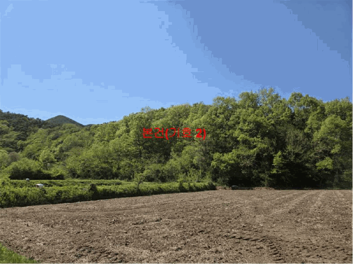 경상남도 거창군 남하면 지산리 산206 외 1필지 임야 경매 사진 6