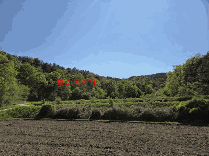 경상남도 거창군 남하면 지산리 산206 외 1필지 임야 경매 사진 10