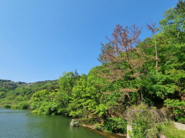 전라남도 광양시 진월면 신아리 산27 임야 경매 사진 29