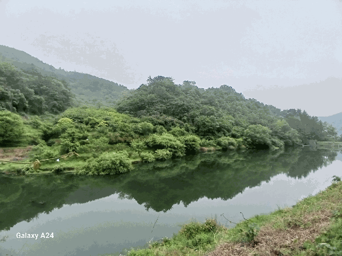 전라남도 광양시 진월면 신아리 산27 임야 경매 사진 31