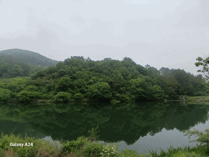 전라남도 광양시 진월면 신아리 산27 임야 경매 사진 32