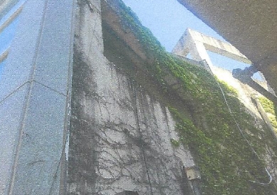 전라남도 순천시 남내동 81 근린시설 경매 사진 37