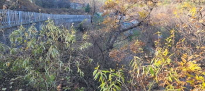 경상북도 청도군 각북면 오산리 1175-3 외 4필지 임야 경매 사진 10