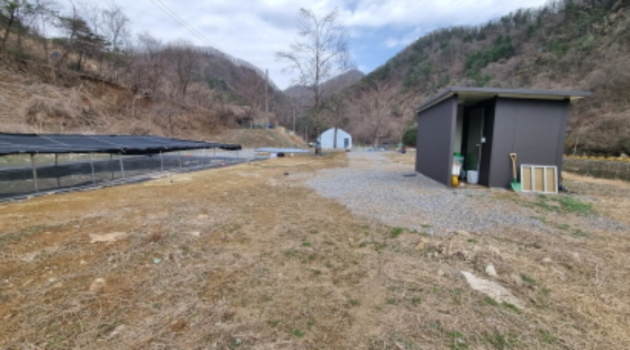 경기도 가평군 상면 항사리 30 전 경매 사진 4