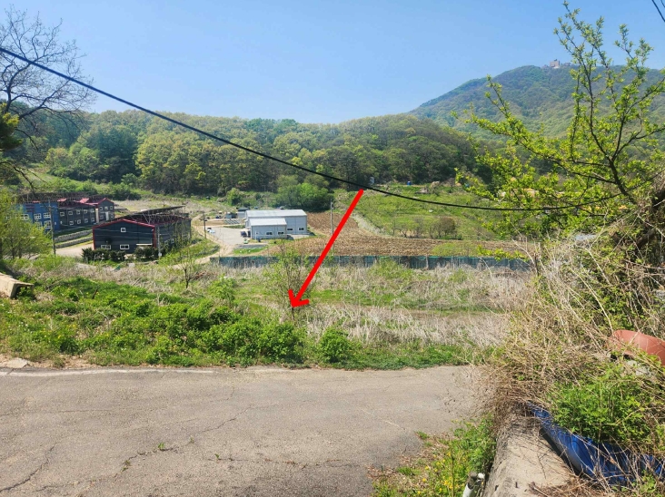 경기도 파주시 법원읍 웅담리 254-9 외 2필지 전 경매 사진 1