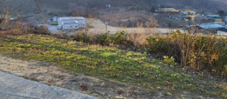 경기도 파주시 법원읍 웅담리 254-9 외 2필지 전 경매 사진 16