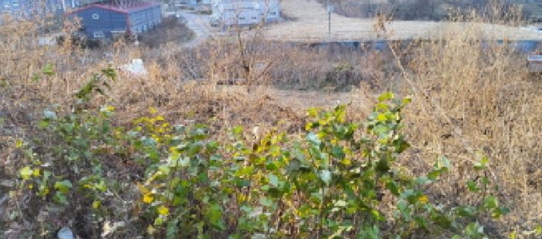 경기도 파주시 법원읍 웅담리 254-9 외 2필지 전 경매 사진 17