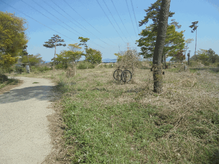 인천광역시 옹진군 영흥면 외리 284-9 외 2필지 유원지 경매 사진 6