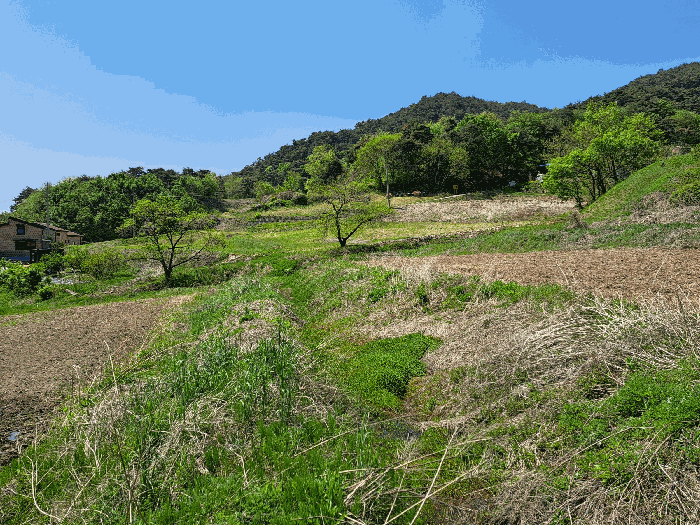 충청북도 충주시 산척면 송강리 1819-3 답 경매 사진 4