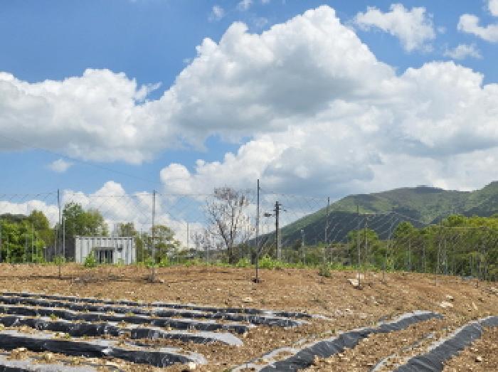 충청북도 제천시 수산면 수리 42 전답 경매 사진 3