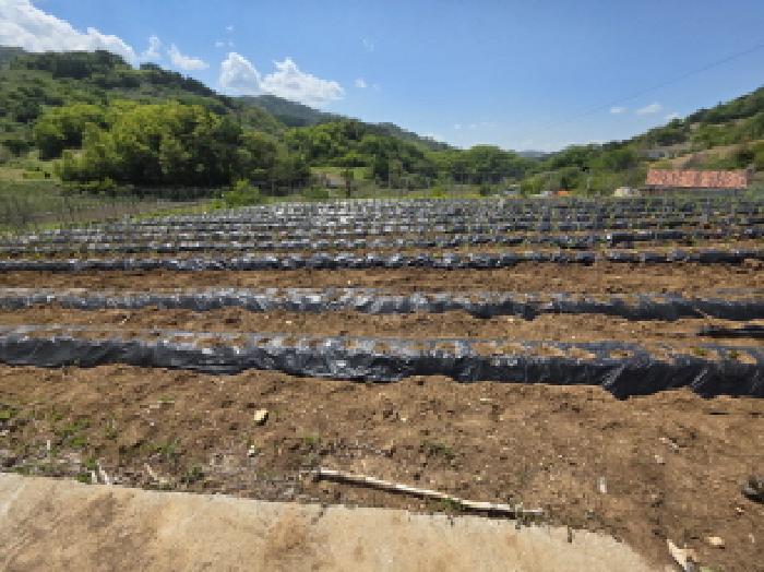 충청북도 제천시 수산면 수리 42 전답 경매 사진 6