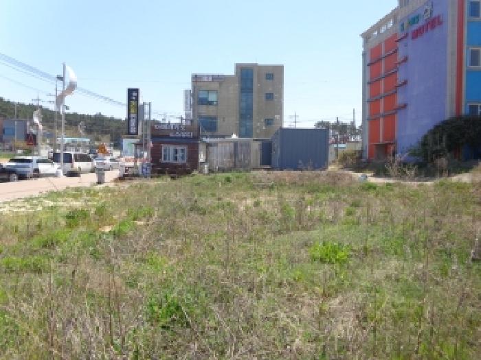 충청남도 태안군 소원면 모항리 1403 대지 경매 사진 15