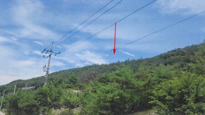 경상북도 영천시 화남면 죽곡리 산105-1 임야 경매 사진 4