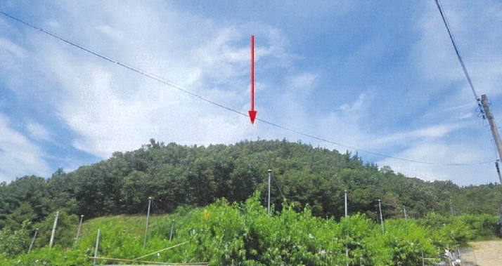 경상북도 영천시 화남면 죽곡리 산105-1 임야 경매 사진 5
