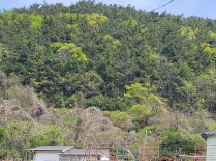 경상남도 통영시 한산면 하소리 540-2 전 경매 사진 1