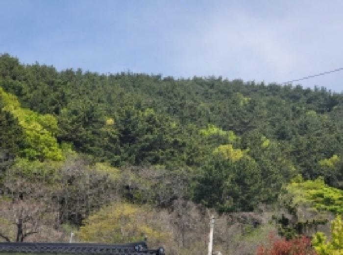 경상남도 통영시 한산면 하소리 540-2 전 경매 사진 3